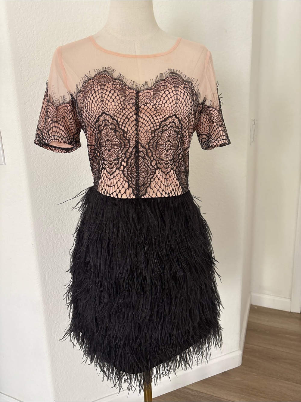 Sugarlips Pink Sheer Lace Bodice with Black Feather Skirt Mini Dress